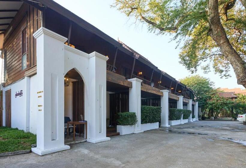 اتاق لوکس, Jambolan Chiangmai