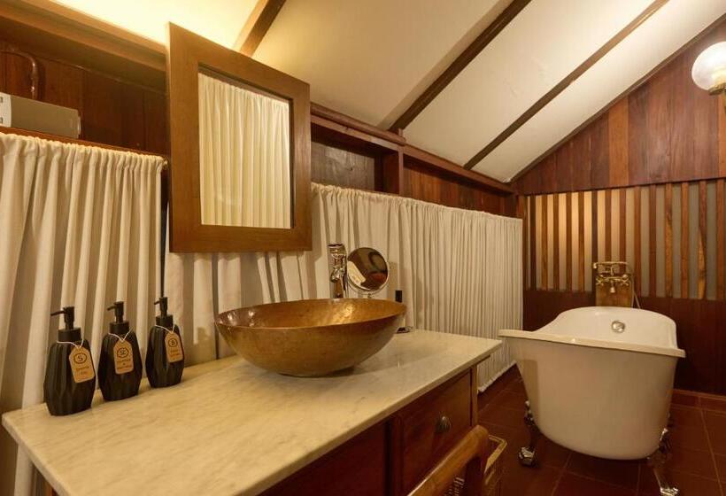 اتاق استاندارد, Jambolan Chiangmai