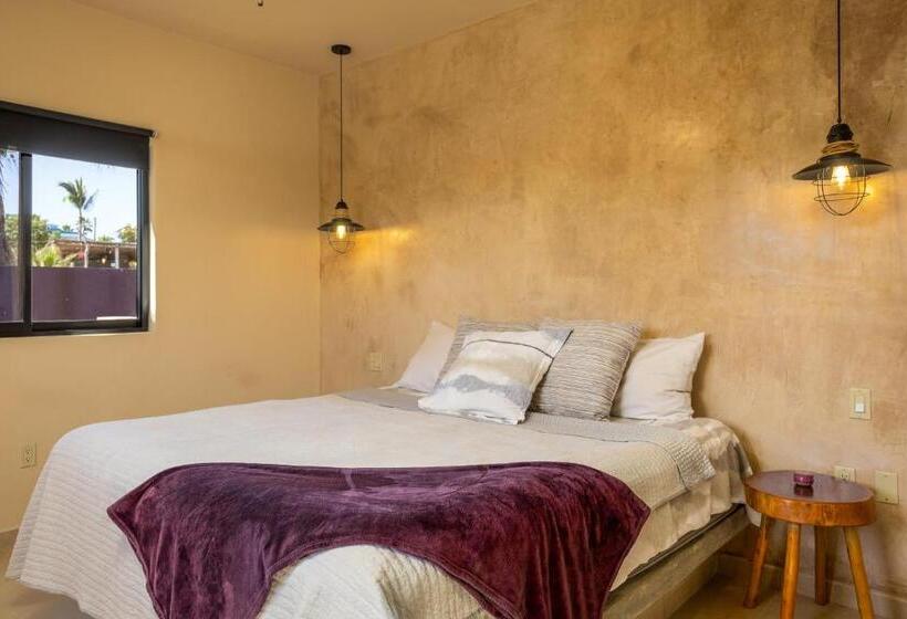 テラス付きスタンダードワンルーム, Hondo