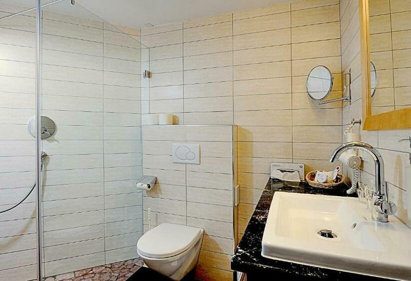 스탠다드 룸, Alpvita Piz Tasna