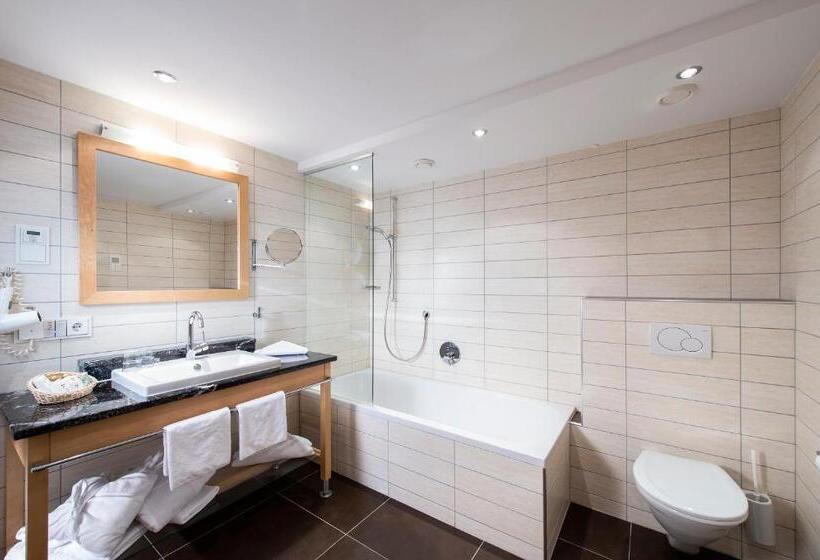 스탠다드 룸, Alpvita Piz Tasna