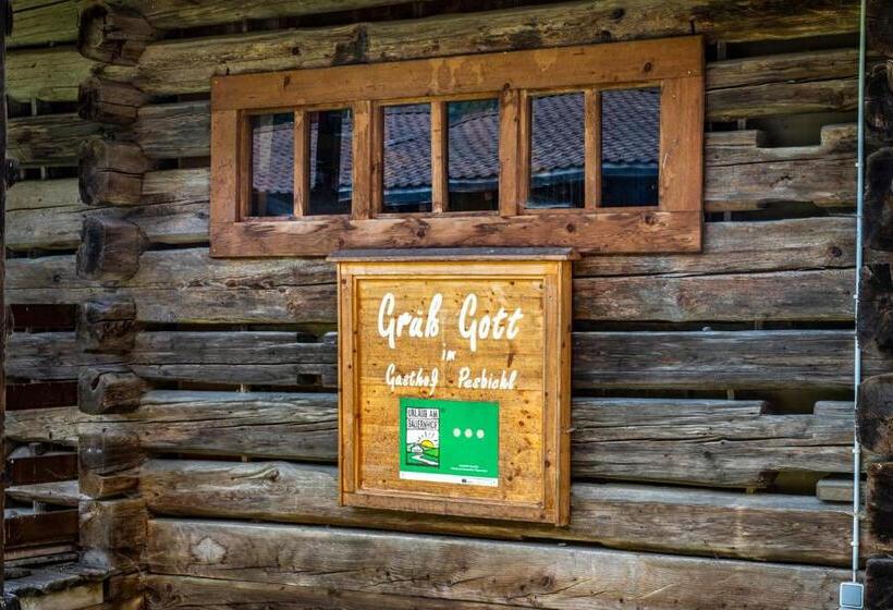 آپارتمان 2 خوابه با بالکن, Gasthof Pesbichl