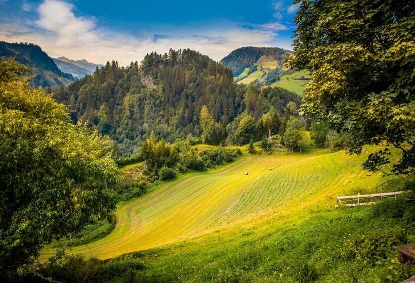 آپارتمان 2 خوابه با بالکن, Gasthof Pesbichl