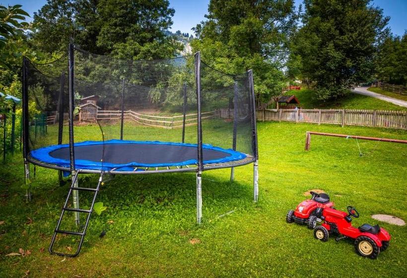 آپارتمان 2 خوابه با بالکن, Gasthof Pesbichl