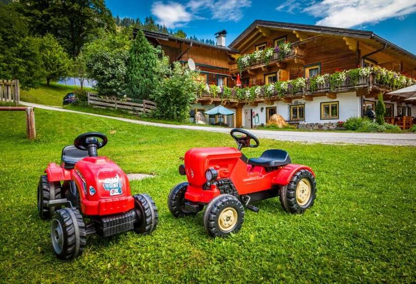 آپارتمان 2 خوابه با بالکن, Gasthof Pesbichl