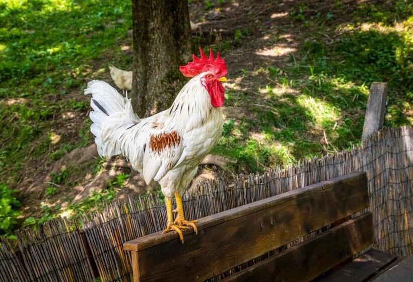 اتاق خانوادگی, Gasthof Pesbichl