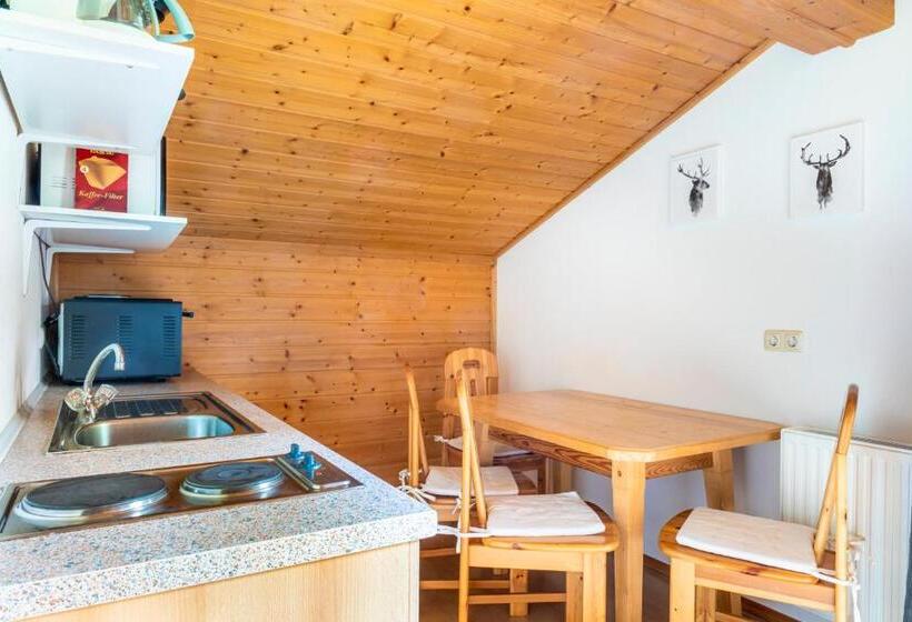 آپارتمان 2 خوابه با بالکن, Gasthof Pesbichl