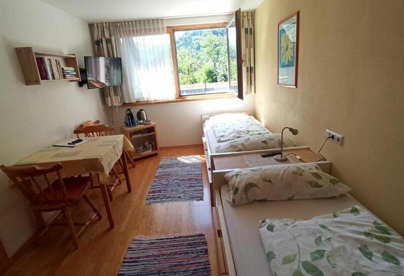 Номер Стандарт Вид на Горы, Gästehaus Lutz