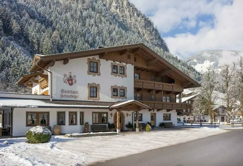 バルコニー付き１ベッドルームアパートメント, Gästehaus Schneeberger