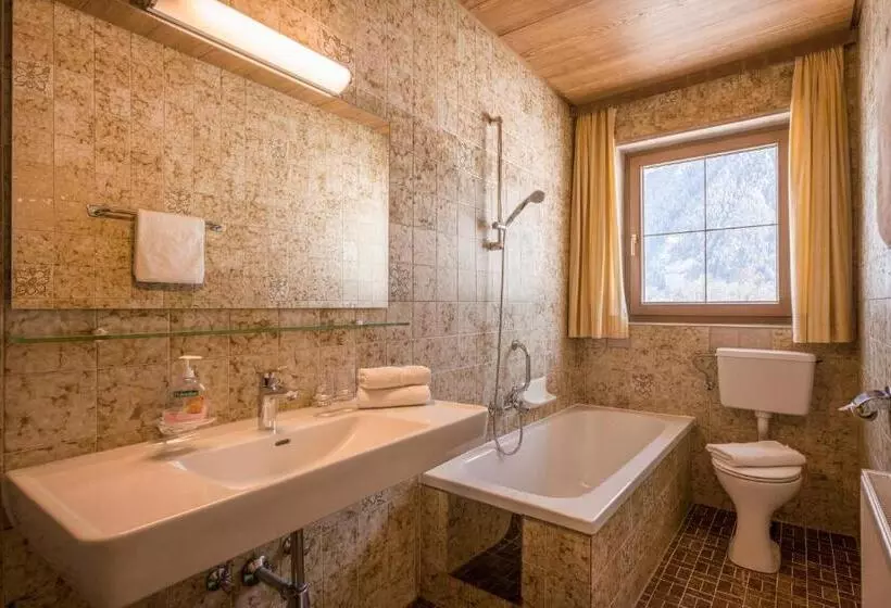 １階の１ベッドルームアパートメント, Gästehaus Schneeberger