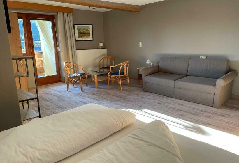 غرفة قياسية, Schwaiger