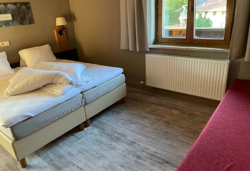 غرفة قياسية, Schwaiger