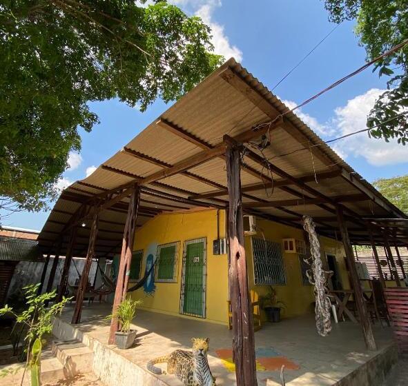 Familjerum, Quarto Açai