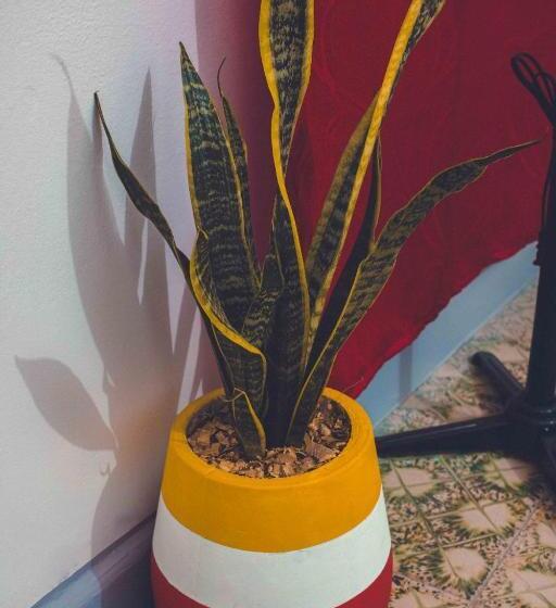 スタンダードルーム, Cuadrilleros