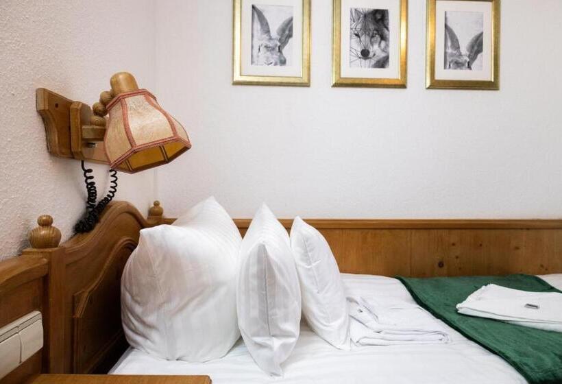 スタンダードシングルルーム, Zum See, Titisee