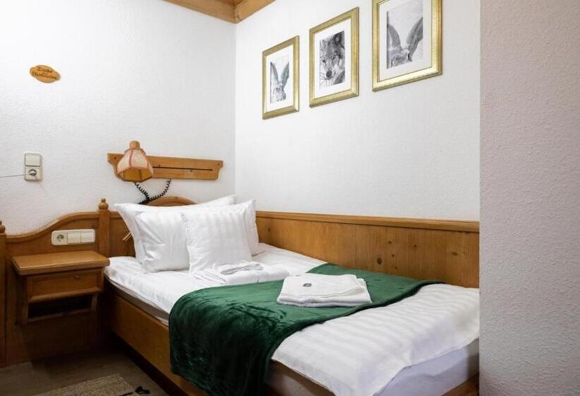 스탠다드 싱글 룸, Zum See, Titisee