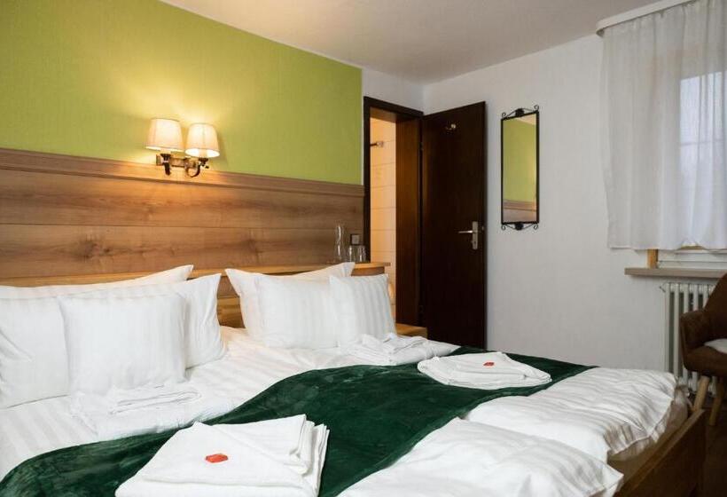 スタンダードルーム, Zum See, Titisee