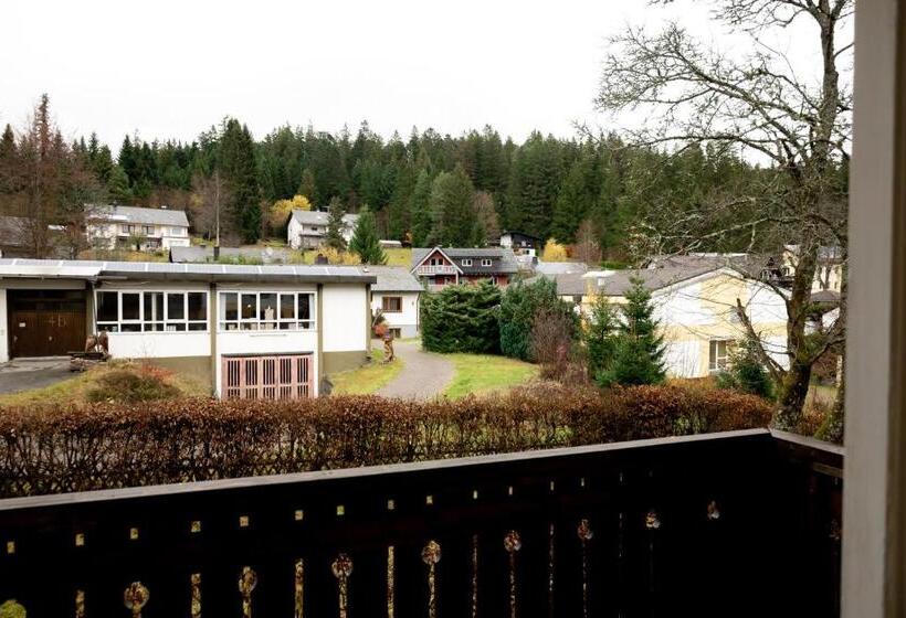 컴포트 트리플 룸, Zum See, Titisee