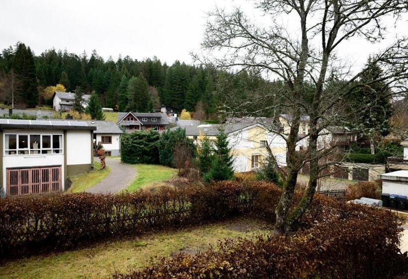 コンフォートトリプルルーム, Zum See, Titisee