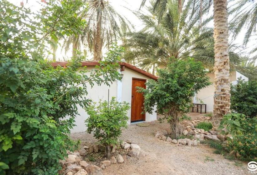 غرفة قياسية سرير كينج, Dar Barka