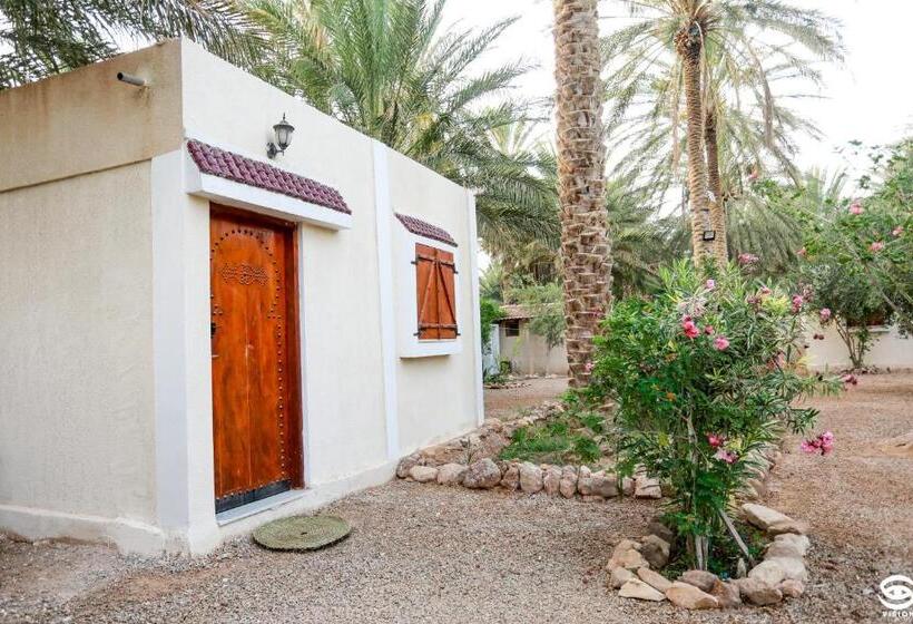 غرفة عائلية, Dar Barka