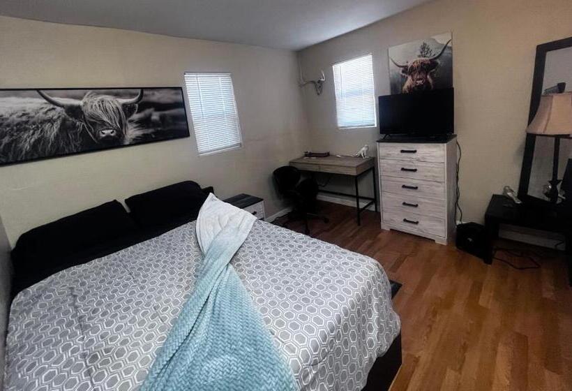 ルームシェアのワンベッド, Cozy And Comfortable