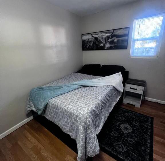 ルームシェアのワンベッド, Cozy And Comfortable