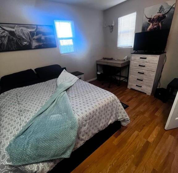 ルームシェアのワンベッド, Cozy And Comfortable