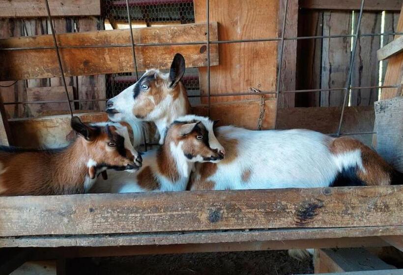 3ベッドルームハウス, Charming Farmhouse On Working Red Haven Farm