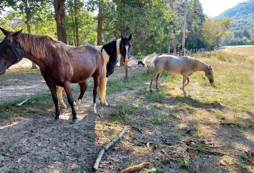 3ベッドルームハウス, Charming Farmhouse On Working Red Haven Farm