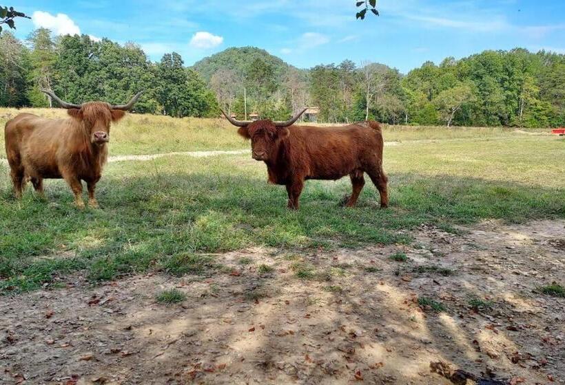 3间卧室的房子, Charming Farmhouse On Working Red Haven Farm
