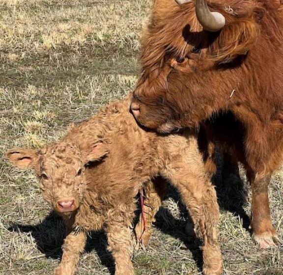 3间卧室的房子, Charming Farmhouse On Working Red Haven Farm