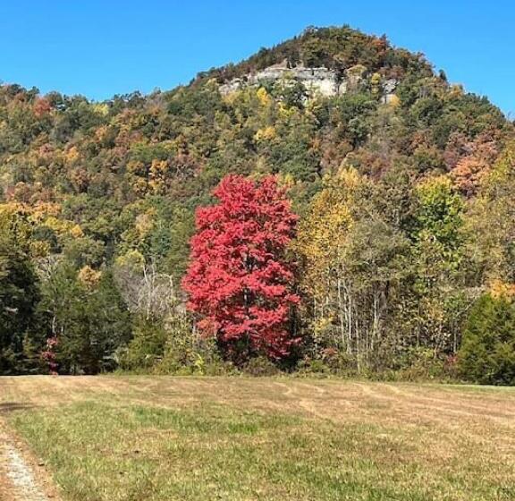 3ベッドルームハウス, Charming Farmhouse On Working Red Haven Farm
