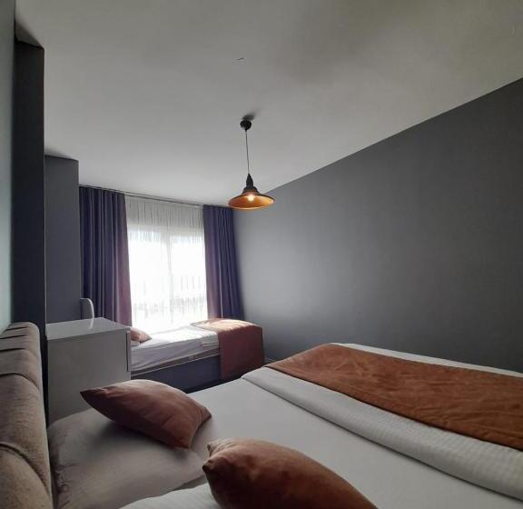 شقة غرفة واحدة, Lysui̇t