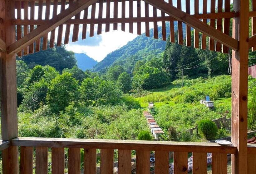 اتاق استاندارد یک نفره, Mtirala Hotel Zipo