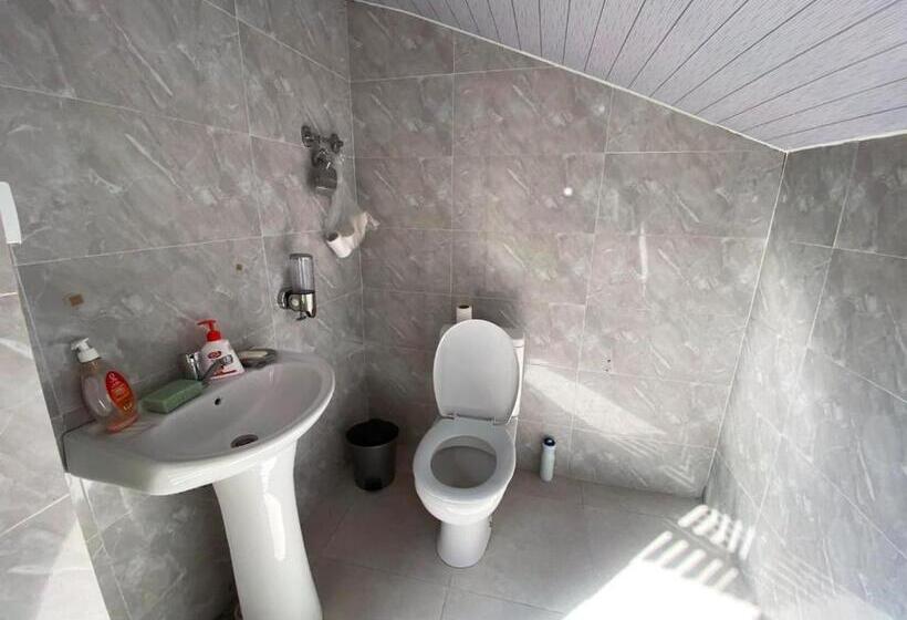 اتاق استاندارد یک نفره, Mtirala Hotel Zipo