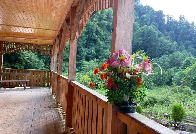 اتاق استاندارد یک نفره, Mtirala Hotel Zipo