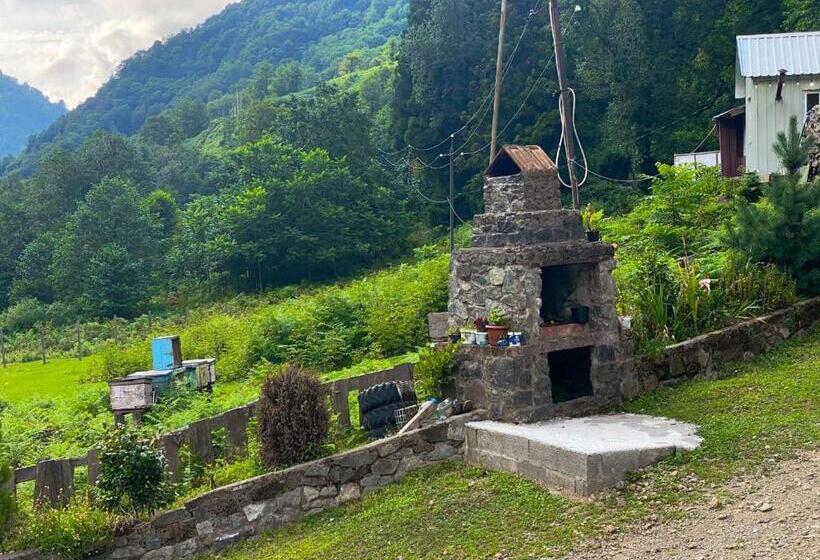 اتاق استاندارد یک نفره, Mtirala Hotel Zipo