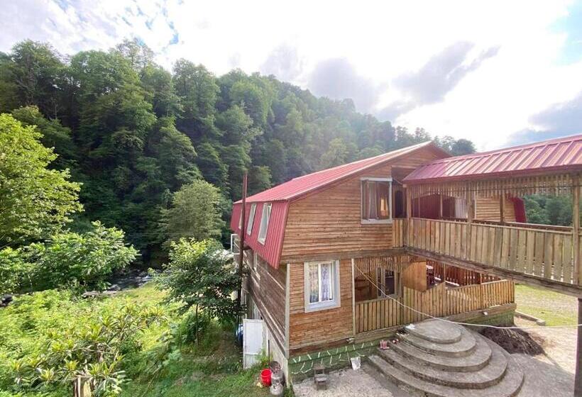 اتاق استاندارد یک نفره, Mtirala Hotel Zipo