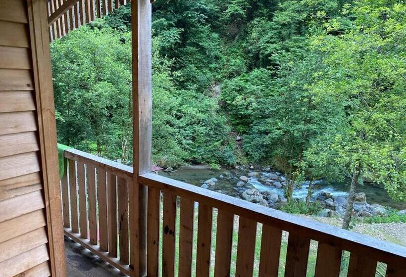 اتاق استاندارد یک نفره, Mtirala Hotel Zipo