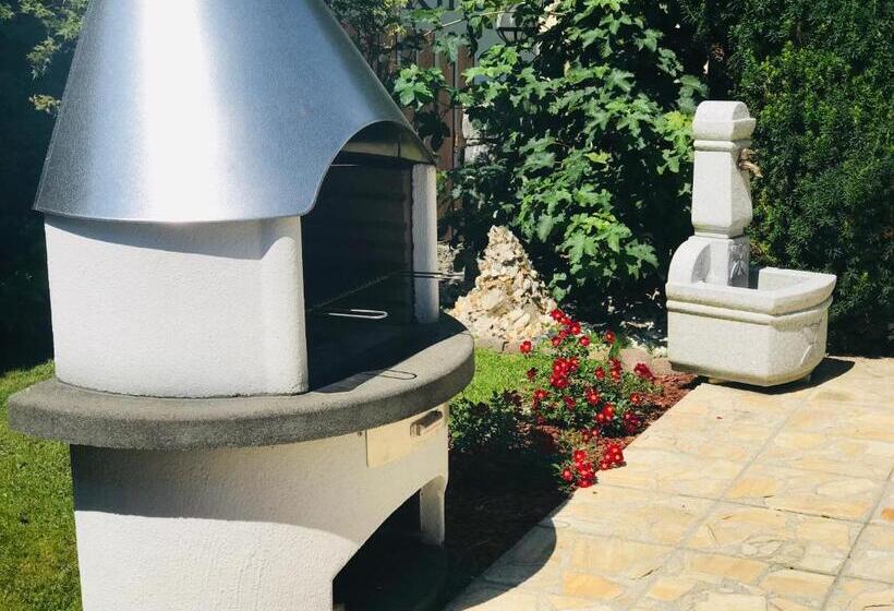 带1个卧室带观景的公寓, Apartments Embach