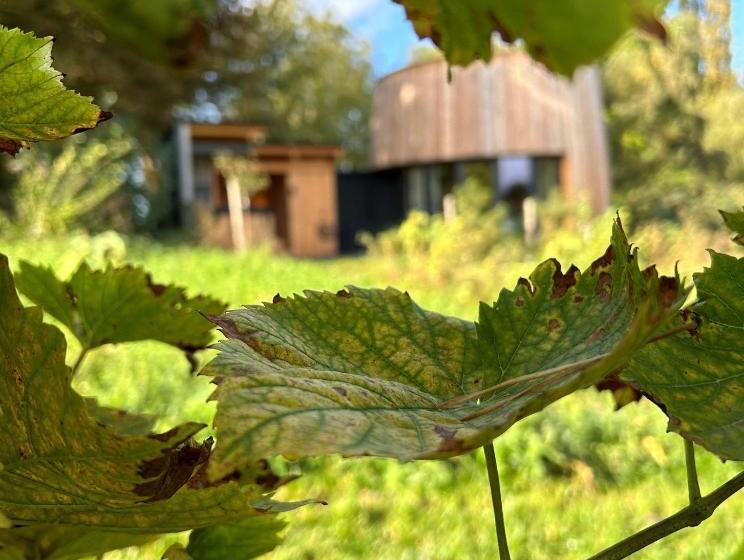 Номер Стандарт Вид на Сад, Cabanes Avec Jacuzzi Les Pieds Dans La Vignes