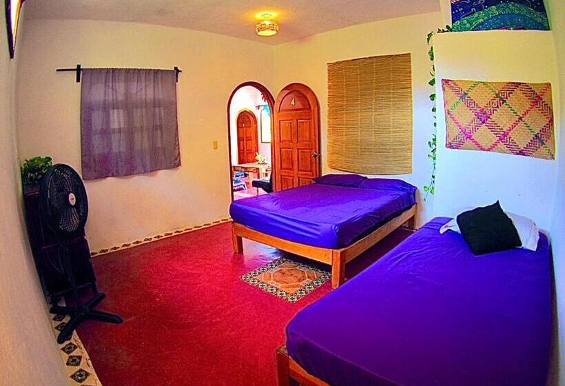 اتاق استاندارد, Tao