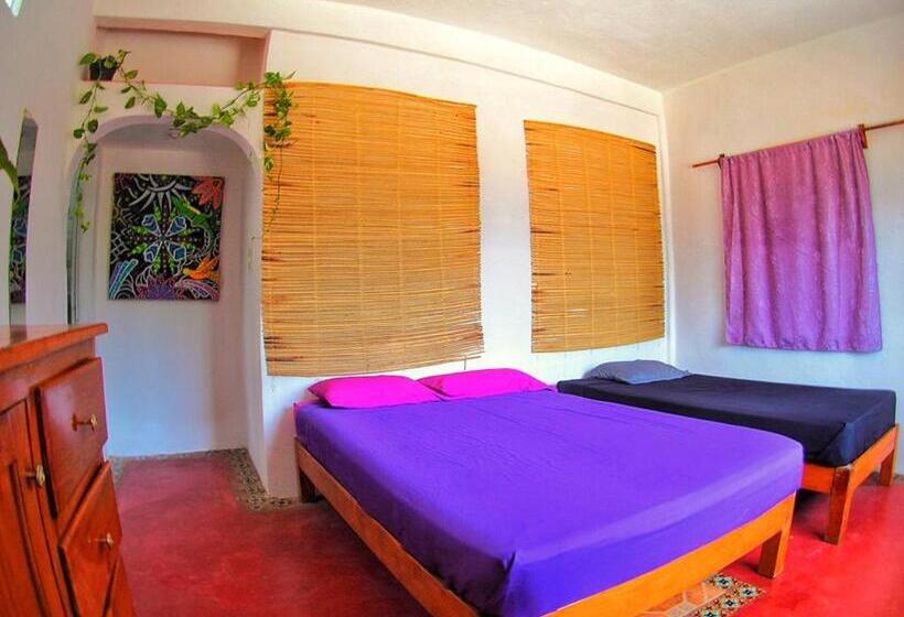 اتاق استاندارد, Tao