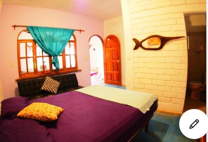 اتاق استاندارد, Tao