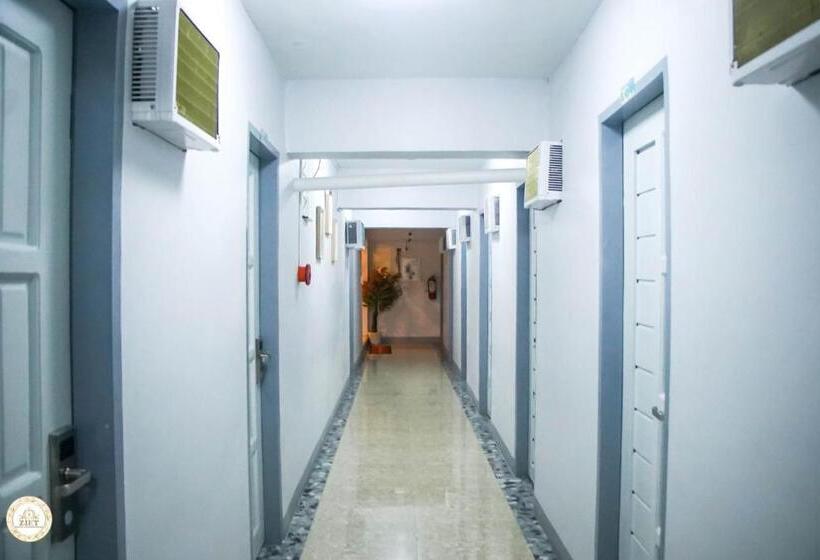 اتاق اکونومی, Ziet