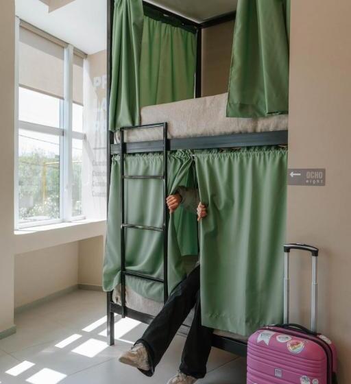 تختخواب در اتاق مشترک, En Pausa