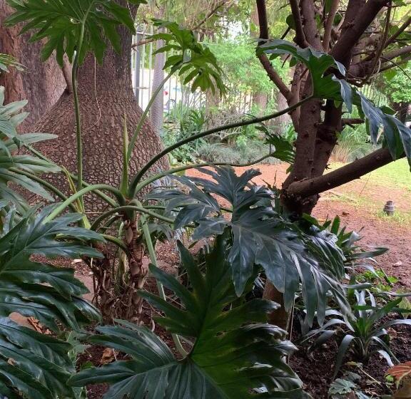 Quarto Deluxe, Bougain Villa Bnb