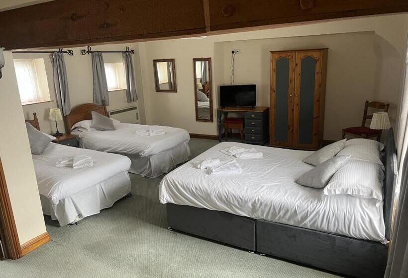 정원 전망 4인용 스탠다드 룸, The White Lion