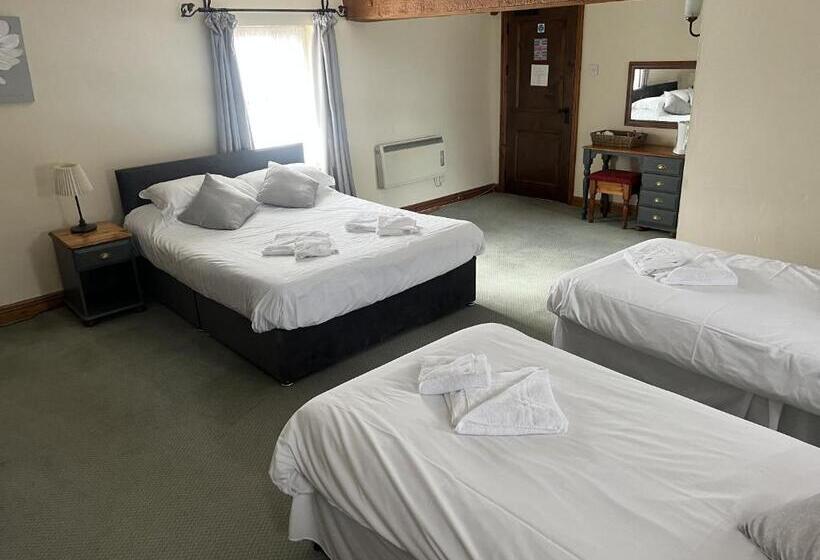 정원 전망 4인용 스탠다드 룸, The White Lion